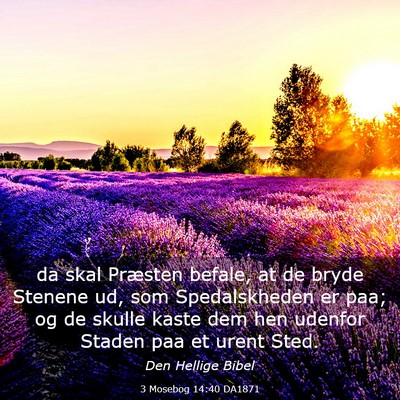 Picture 03 - 3 Mosebog 14:40 DA1871 - da skal Præsten befale, at de bryde Stenene ud, - Bible Verse Picture