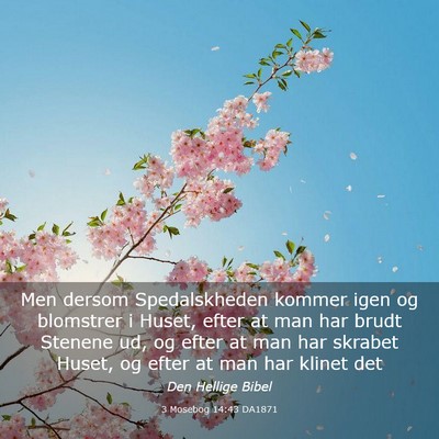 Picture 03 - 3 Mosebog 14:43 DA1871 - Men dersom Spedalskheden kommer igen og blomstrer - Bible Verse Picture