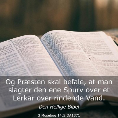 Picture 03 - 3 Mosebog 14:5 DA1871 - Og Præsten skal befale, at man slagter den ene - Bible Verse Picture