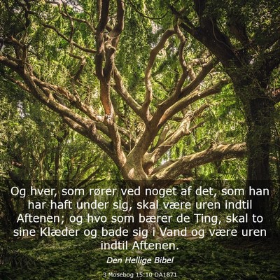 Picture 03 - 3 Mosebog 15:10 DA1871 - Og hver, som rører ved noget af det, som han har - Bible Verse Picture
