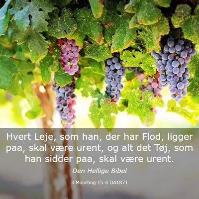 Picture 03 - 3 Mosebog 15:4 DA1871 - Hvert Leje, som han, der har Flod, ligger paa, - Bible Verse Picture
