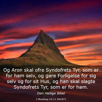 Picture 03 - 3 Mosebog 16:11 DA1871 - Og Aron skal ofre Syndofrets Tyr, som er for ham - Bible Verse Picture