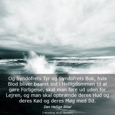 Picture 03 - 3 Mosebog 16:27 DA1871 - Og Syndofrets Tyr og Syndofrets Buk, hvis Blod - Bible Verse Picture