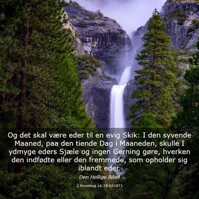 Picture 03 - 3 Mosebog 16:29 DA1871 - Og det skal være eder til en evig Skik: I den - Bible Verse Picture