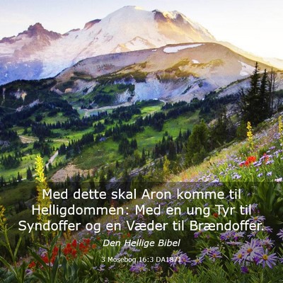 Picture 03 - 3 Mosebog 16:3 DA1871 - Med dette skal Aron komme til Helligdommen: Med - Bible Verse Picture