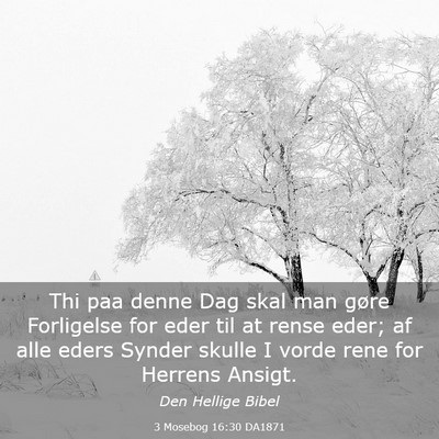 Picture 03 - 3 Mosebog 16:30 DA1871 - Thi paa denne Dag skal man gøre Forligelse for - Bible Verse Picture