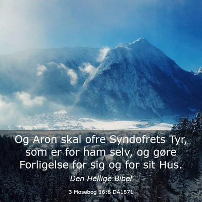 Picture 03 - 3 Mosebog 16:6 DA1871 - Og Aron skal ofre Syndofrets Tyr, som er for ham - Bible Verse Picture