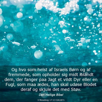 Picture 03 - 3 Mosebog 17:13 DA1871 - Og hvo som helst af Israels Børn og af fremmede, - Bible Verse Picture