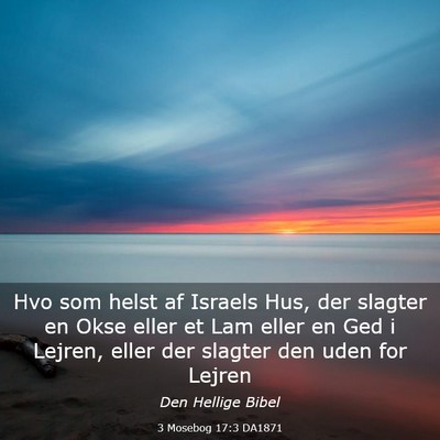 Picture 03 - 3 Mosebog 17:3 DA1871 - Hvo som helst af Israels Hus, der slagter en Okse - Bible Verse Picture