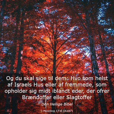 Picture 03 - 3 Mosebog 17:8 DA1871 - Og du skal sige til dem: Hvo som helst af Israels - Bible Verse Picture