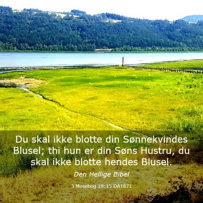 Picture 03 - 3 Mosebog 18:15 DA1871 - Du skal ikke blotte din Sønnekvindes Blusel; thi - Bible Verse Picture