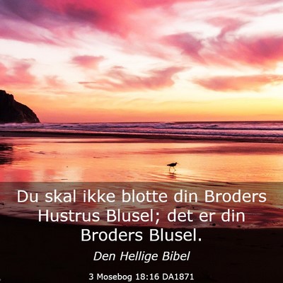 Picture 03 - 3 Mosebog 18:16 DA1871 - Du skal ikke blotte din Broders Hustrus Blusel; - Bible Verse Picture