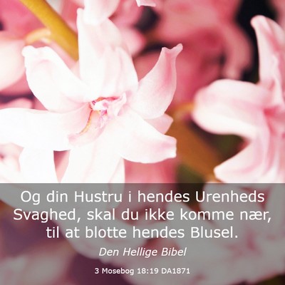 Picture 03 - 3 Mosebog 18:19 DA1871 - Og din Hustru i hendes Urenheds Svaghed, skal du - Bible Verse Picture
