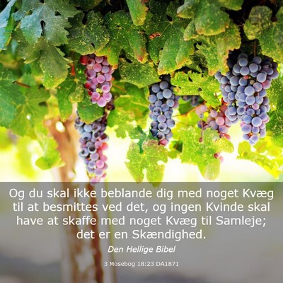 Picture 03 - 3 Mosebog 18:23 DA1871 - Og du skal ikke beblande dig med noget Kvæg til - Bible Verse Picture
