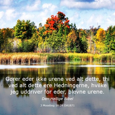 Picture 03 - 3 Mosebog 18:24 DA1871 - Gører eder ikke urene ved alt dette, thi ved alt - Bible Verse Picture