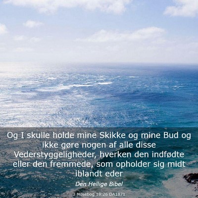 Picture 03 - 3 Mosebog 18:26 DA1871 - Og I skulle holde mine Skikke og mine Bud og ikke - Bible Verse Picture