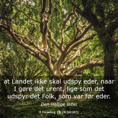 Picture 03 - 3 Mosebog 18:28 DA1871 - at Landet ikke skal udspy eder, naar I gøre det - Bible Verse Picture