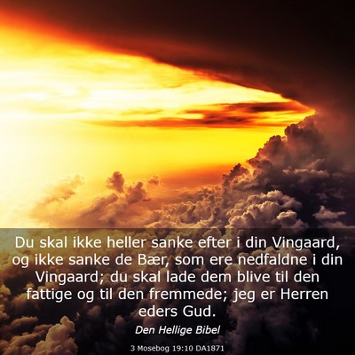 Picture 03 - 3 Mosebog 19:10 DA1871 - Du skal ikke heller sanke efter i din Vingaard, - Bible Verse Picture