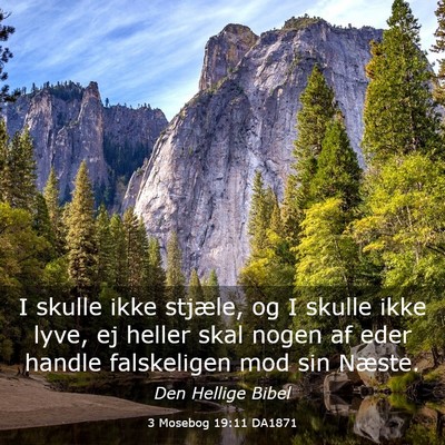 Picture 03 - 3 Mosebog 19:11 DA1871 - I skulle ikke stjæle, og I skulle ikke lyve, ej - Bible Verse Picture