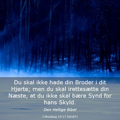 Picture 03 - 3 Mosebog 19:17 DA1871 - Du skal ikke hade din Broder i dit Hjerte; men du - Bible Verse Picture