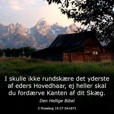 Picture 03 - 3 Mosebog 19:27 DA1871 - I skulle ikke rundskære det yderste af eders - Bible Verse Picture