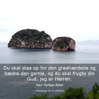 Picture 03 - 3 Mosebog 19:32 DA1871 - Du skal staa op for den graahærdede og hædre - Bible Verse Picture