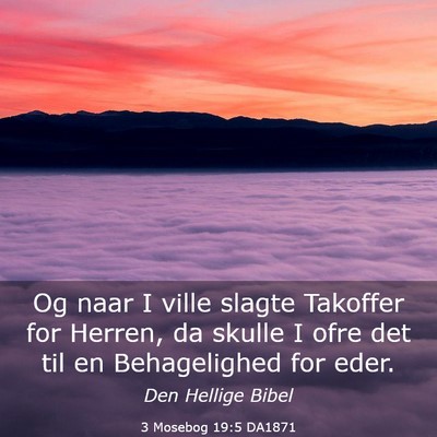Picture 03 - 3 Mosebog 19:5 DA1871 - Og naar I ville slagte Takoffer for Herren, da - Bible Verse Picture