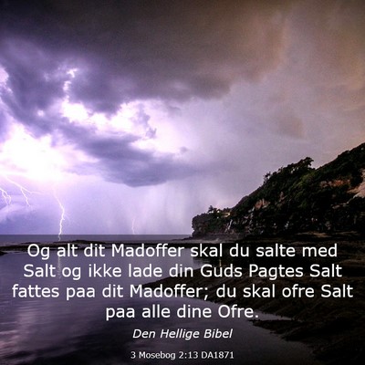 Picture 03 - 3 Mosebog 2:13 DA1871 - Og alt dit Madoffer skal du salte med Salt og - Bible Verse Picture