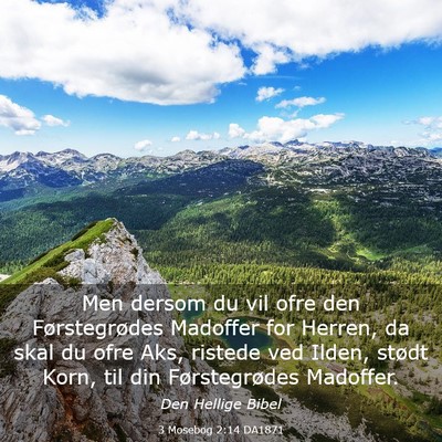 Picture 03 - 3 Mosebog 2:14 DA1871 - Men dersom du vil ofre den Førstegrødes - Bible Verse Picture