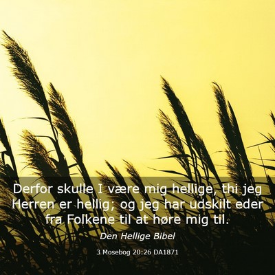 Picture 03 - 3 Mosebog 20:26 DA1871 - Derfor skulle I være mig hellige, thi jeg Herren - Bible Verse Picture