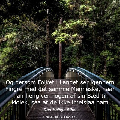 Picture 03 - 3 Mosebog 20:4 DA1871 - Og dersom Folket i Landet ser igennem Fingre med - Bible Verse Picture