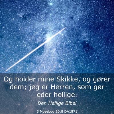 Picture 03 - 3 Mosebog 20:8 DA1871 - Og holder mine Skikke, og gører dem; jeg er - Bible Verse Picture