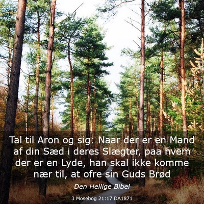 Picture 03 - 3 Mosebog 21:17 DA1871 - Tal til Aron og sig: Naar der er en Mand af din - Bible Verse Picture