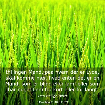 Picture 03 - 3 Mosebog 21:18 DA1871 - thi ingen Mand, paa hvem der er Lyde, skal komme - Bible Verse Picture