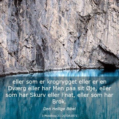 Picture 03 - 3 Mosebog 21:20 DA1871 - eller som er krogrygget eller er en Dværg eller - Bible Verse Picture