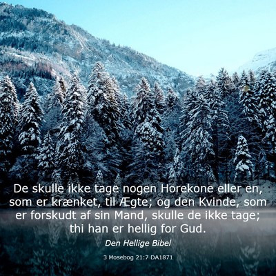 Picture 03 - 3 Mosebog 21:7 DA1871 - De skulle ikke tage nogen Horekone eller en, som - Bible Verse Picture