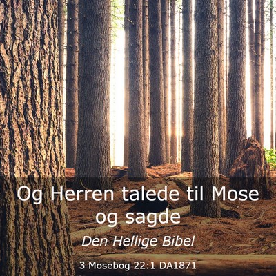 Picture 03 - 3 Mosebog 22:1 DA1871 - Og Herren talede til Mose og - Bible Verse Picture