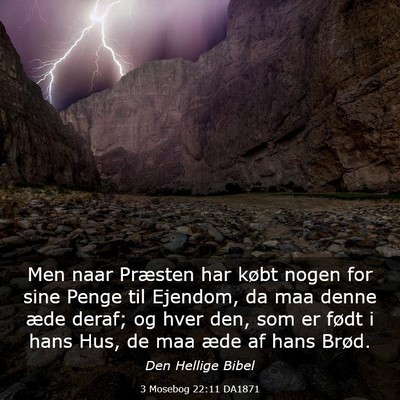 Picture 03 - 3 Mosebog 22:11 DA1871 - Men naar Præsten har købt nogen for sine Penge - Bible Verse Picture