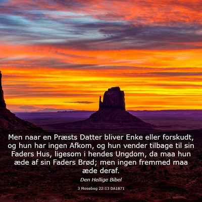Picture 03 - 3 Mosebog 22:13 DA1871 - Men naar en Præsts Datter bliver Enke eller - Bible Verse Picture