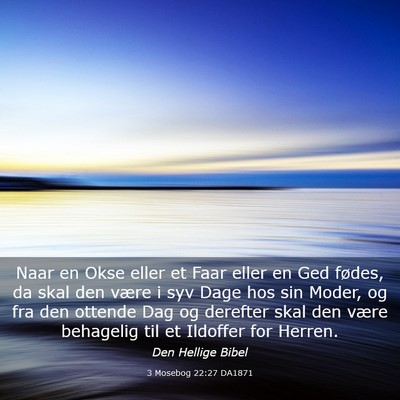 Picture 03 - 3 Mosebog 22:27 DA1871 - Naar en Okse eller et Faar eller en Ged fødes, - Bible Verse Picture