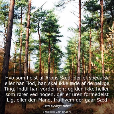 Picture 03 - 3 Mosebog 22:4 DA1871 - Hvo som helst af Arons Sæd, der er spedalsk - Bible Verse Picture