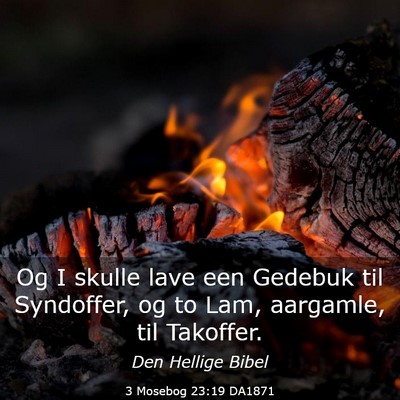 Picture 03 - 3 Mosebog 23:19 DA1871 - Og I skulle lave een Gedebuk til Syndoffer, og to - Bible Verse Picture