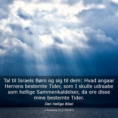 Picture 03 - 3 Mosebog 23:2 DA1871 - Tal til Israels Børn og sig til dem: Hvad angaar - Bible Verse Picture