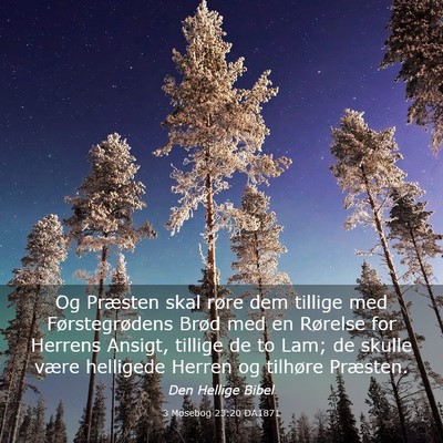 Picture 03 - 3 Mosebog 23:20 DA1871 - Og Præsten skal røre dem tillige med - Bible Verse Picture