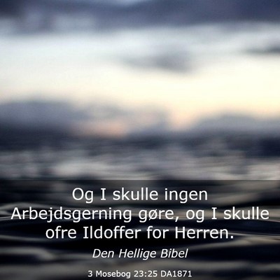 Picture 03 - 3 Mosebog 23:25 DA1871 - Og I skulle ingen Arbejdsgerning gøre, og I - Bible Verse Picture