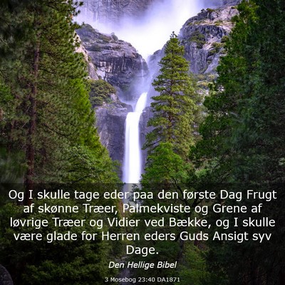 Picture 03 - 3 Mosebog 23:40 DA1871 - Og I skulle tage eder paa den første Dag Frugt - Bible Verse Picture