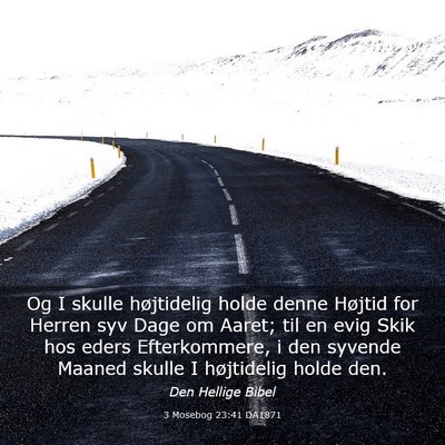 Picture 03 - 3 Mosebog 23:41 DA1871 - Og I skulle højtidelig holde denne Højtid for - Bible Verse Picture