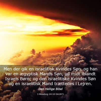 Picture 03 - 3 Mosebog 24:10 DA1871 - Men der gik en israelitisk Kvindes Søn, og han - Bible Verse Picture