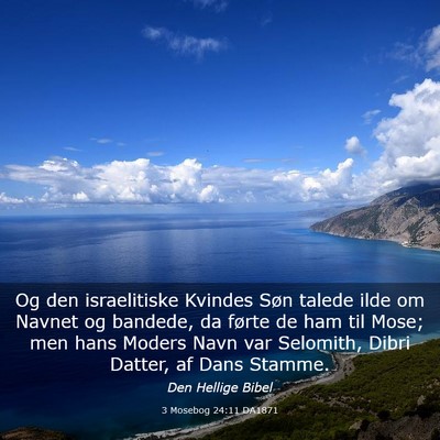 Picture 03 - 3 Mosebog 24:11 DA1871 - Og den israelitiske Kvindes Søn talede ilde om - Bible Verse Picture