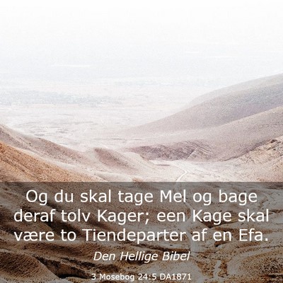 Picture 03 - 3 Mosebog 24:5 DA1871 - Og du skal tage Mel og bage deraf tolv Kager; een - Bible Verse Picture